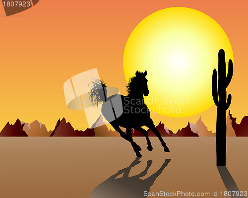 Image of horse on sunset background