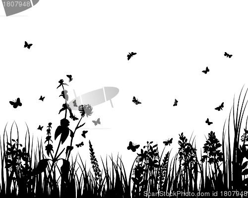 Image of meadow silhouettes