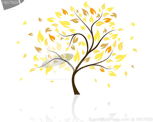 Image of autumn tree