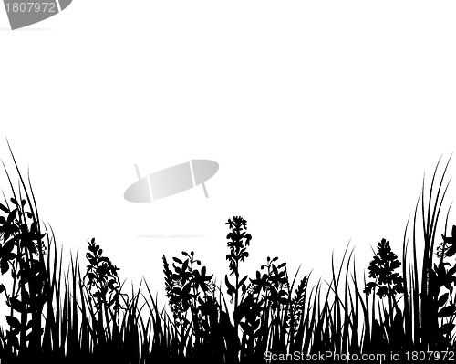 Image of meadow silhouettes