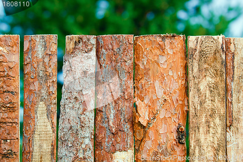 Image of fence of rough pine boards