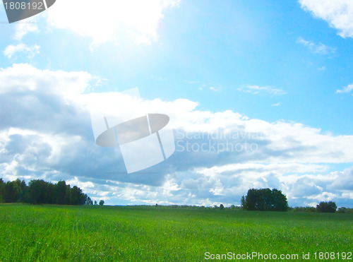 Image of summer landscape