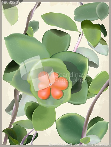 Image of Greeting card with a wild flower. Illustration curling a plant.