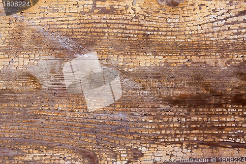 Image of Wood texture 