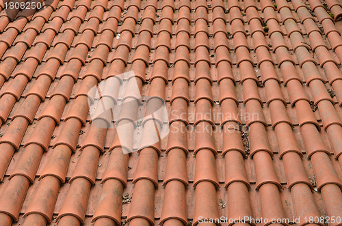 Image of Background of clay round tiles covered roof 