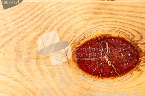 Image of Knot in Wood