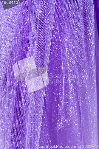 Image of Lilac Texture