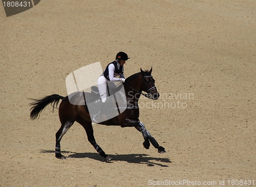 Image of Eventing rider