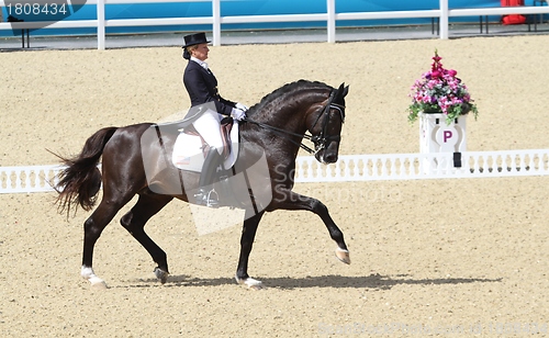 Image of Dressage rider