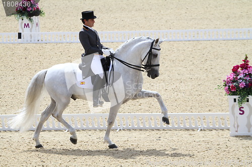 Image of Spanish dressage rider