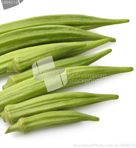 Image of Okra