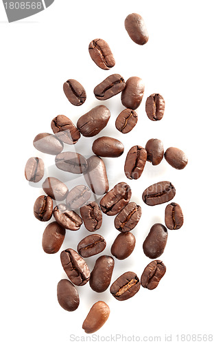 Image of coffee beans