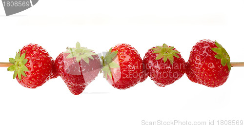 Image of fresh strawberries