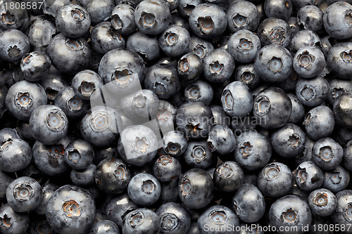Image of blueberries background