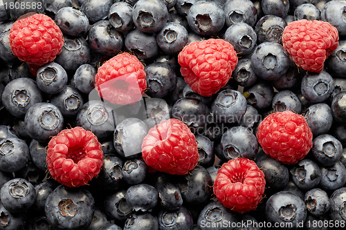 Image of blueberries and raspberries