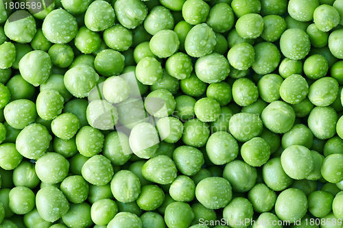 Image of green peas background