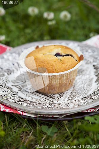 Image of Blueberry muffin
