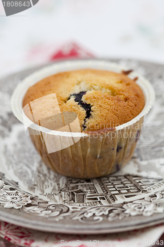 Image of Blueberry muffin
