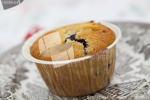 Image of Blueberry muffin