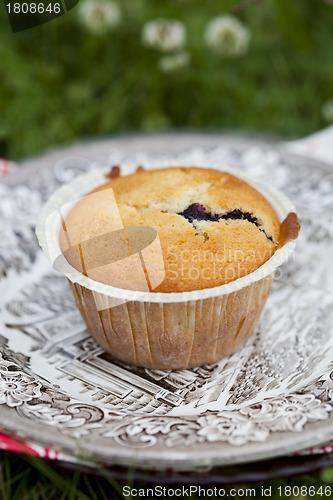 Image of Blueberry muffin