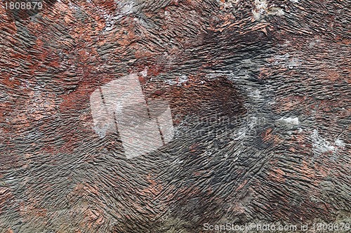 Image of Wall 
