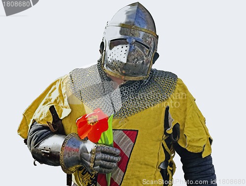 Image of Knight with flower