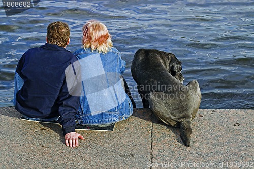 Image of couple and dog