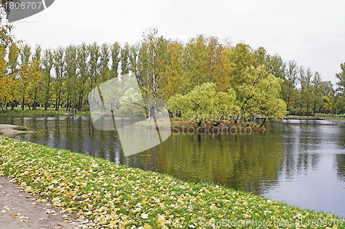 Image of lake in an autumn park
