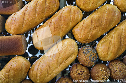 Image of Loaves of bread