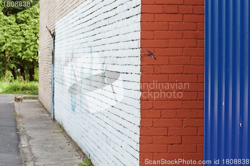 Image of corner and painted wall