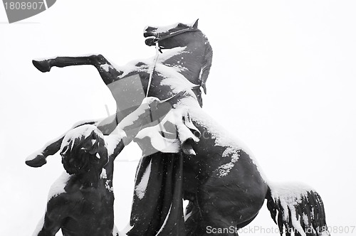 Image of Taming of Horses