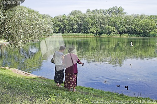 Image of elderly women 