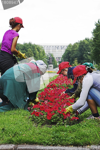 Image of Girls Doing Gardening 