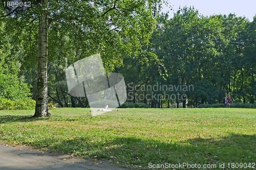 Image of City park in summer
