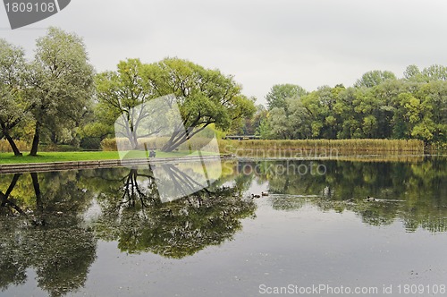 Image of Lake in Park