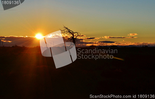 Image of Sunrise