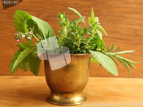 Image of Herbs