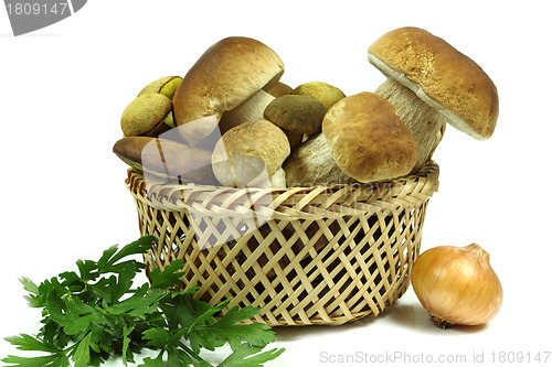 Image of Mushrooms