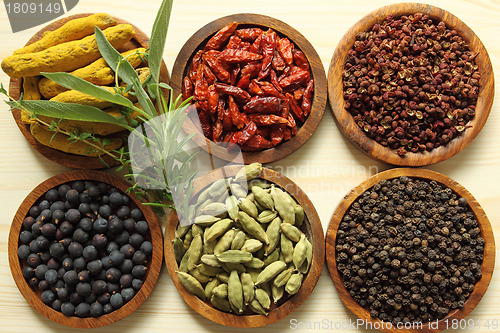 Image of Spices and herbs