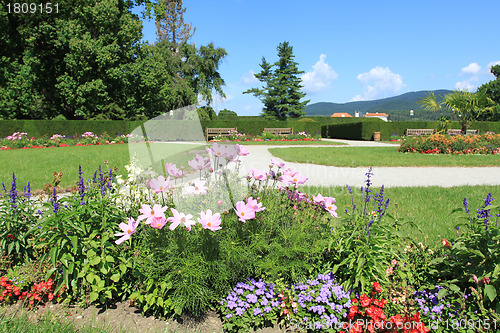 Image of Summer garden
