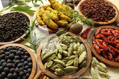 Image of Spices and herbs