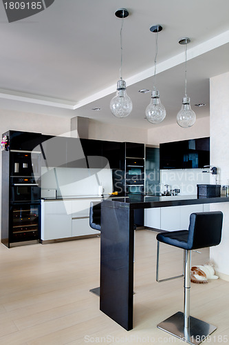 Image of Modern kitchen interior