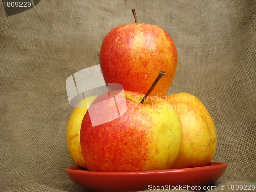 Image of apple on the brown background