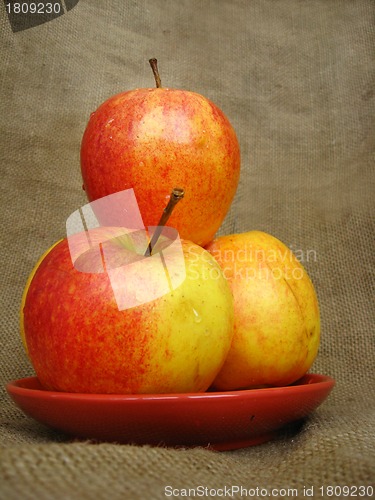 Image of apple on the brown background