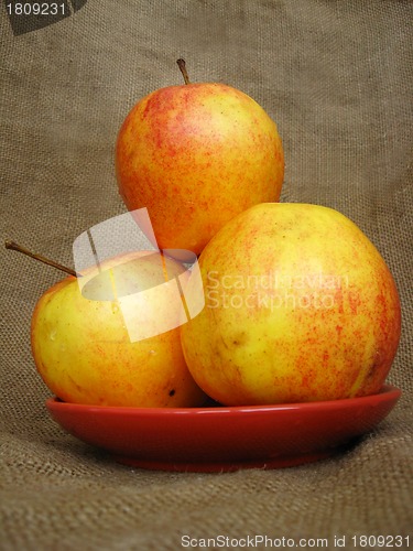 Image of apple on the brown background