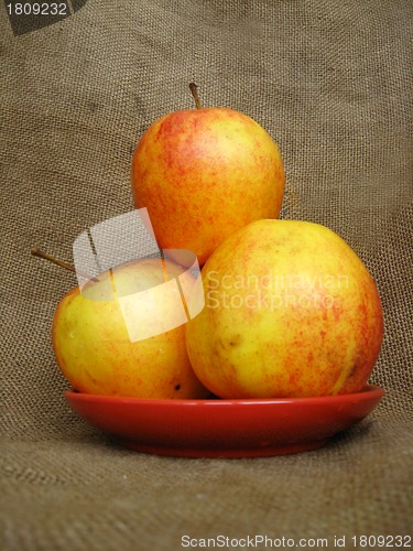 Image of apple on the brown background