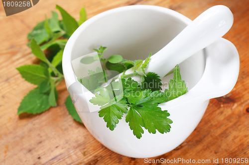 Image of mortar with herbs