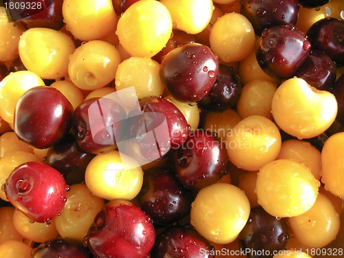 Image of Washed berries of a sweet cherry
