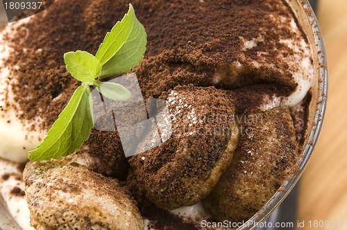 Image of Tiramisu Dessert 