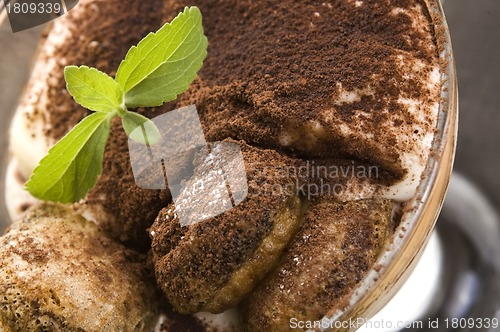 Image of Tiramisu Dessert 